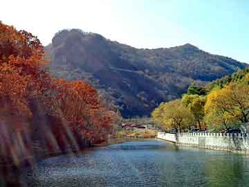 新澳门二四六天天彩，鄢陵物流